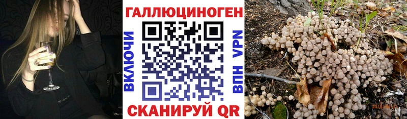 Галлюциногенные грибы прущие грибы  Заречный 