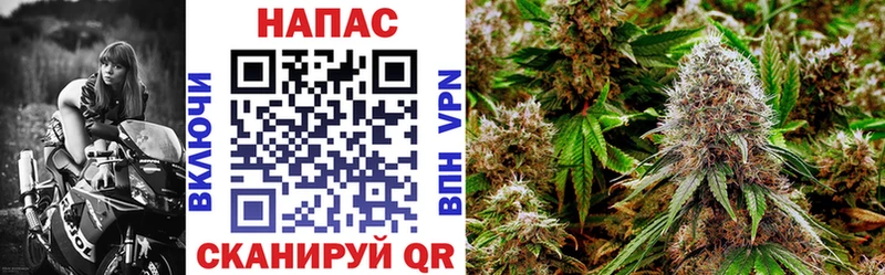 продажа наркотиков  Заречный  blacksprut зеркало  Бошки марихуана индика 